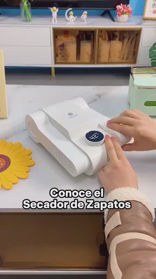 Shoe Dryer